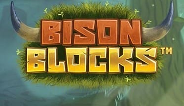 Bison Blocks